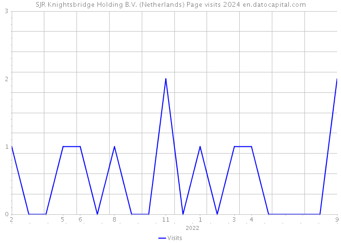 SJR Knightsbridge Holding B.V. (Netherlands) Page visits 2024 