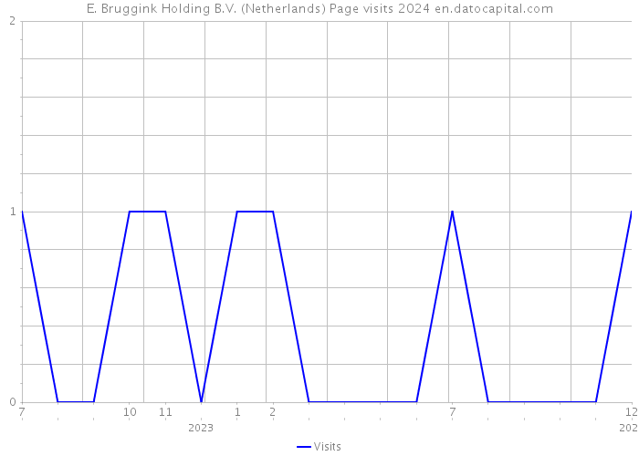 E. Bruggink Holding B.V. (Netherlands) Page visits 2024 