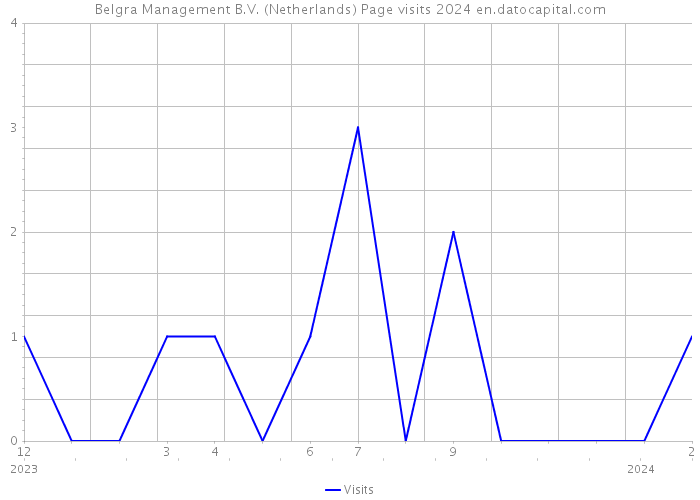Belgra Management B.V. (Netherlands) Page visits 2024 