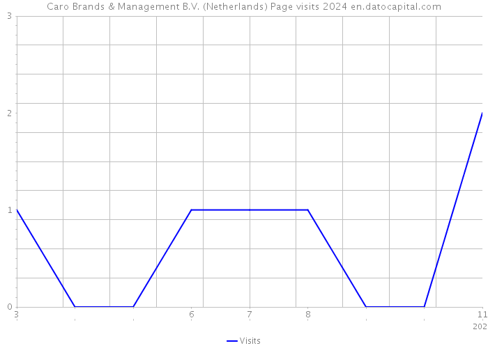 Caro Brands & Management B.V. (Netherlands) Page visits 2024 