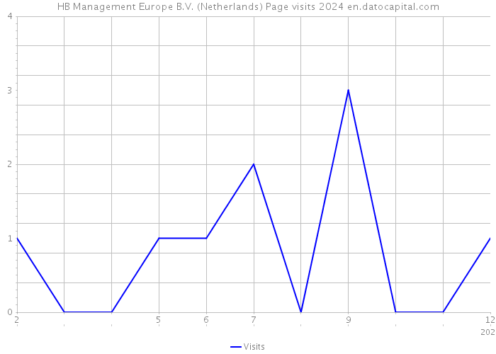 HB Management Europe B.V. (Netherlands) Page visits 2024 