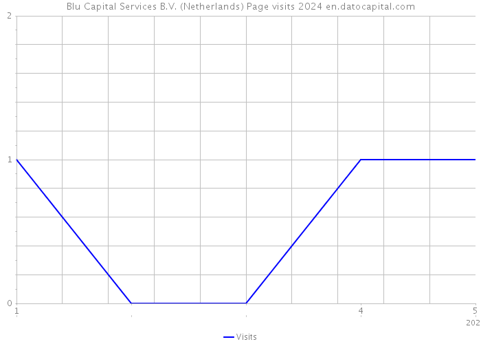 Blu Capital Services B.V. (Netherlands) Page visits 2024 