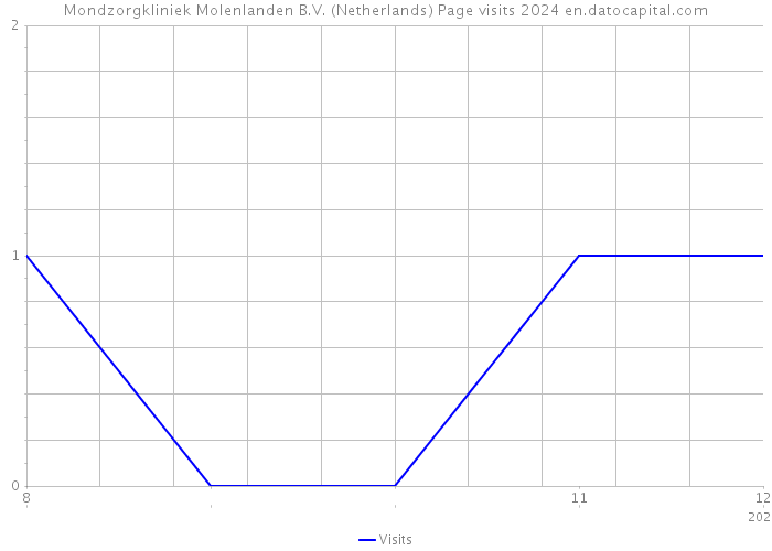 Mondzorgkliniek Molenlanden B.V. (Netherlands) Page visits 2024 