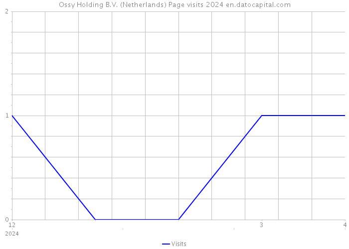 Ossy Holding B.V. (Netherlands) Page visits 2024 