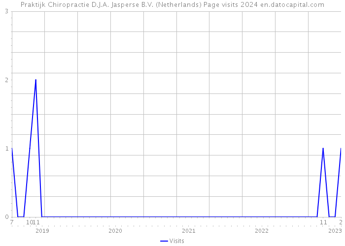 Praktijk Chiropractie D.J.A. Jasperse B.V. (Netherlands) Page visits 2024 