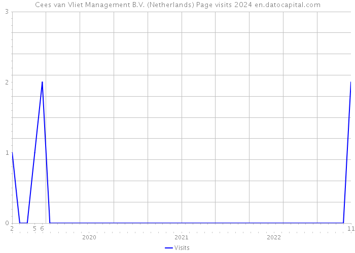Cees van Vliet Management B.V. (Netherlands) Page visits 2024 