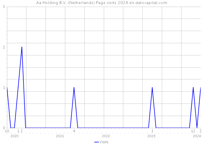 Aa Holding B.V. (Netherlands) Page visits 2024 