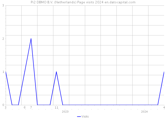 Pi2 DBMO B.V. (Netherlands) Page visits 2024 