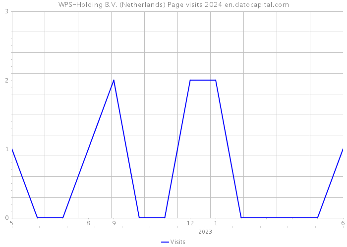 WPS-Holding B.V. (Netherlands) Page visits 2024 