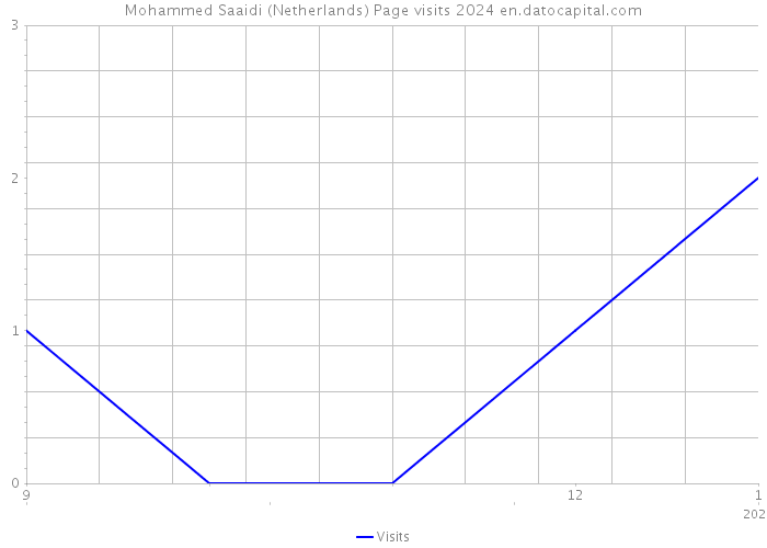Mohammed Saaidi (Netherlands) Page visits 2024 
