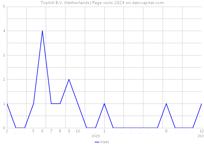 Tophill B.V. (Netherlands) Page visits 2024 
