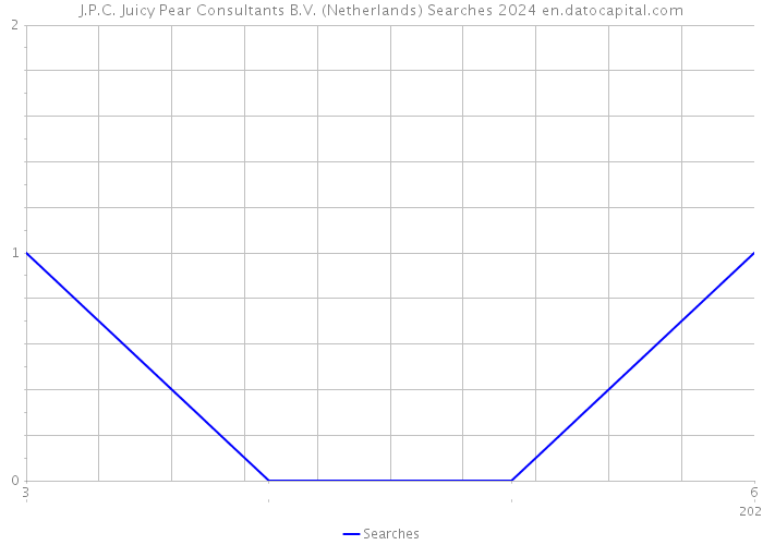 J.P.C. Juicy Pear Consultants B.V. (Netherlands) Searches 2024 