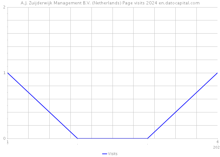 A.J. Zuijderwijk Management B.V. (Netherlands) Page visits 2024 