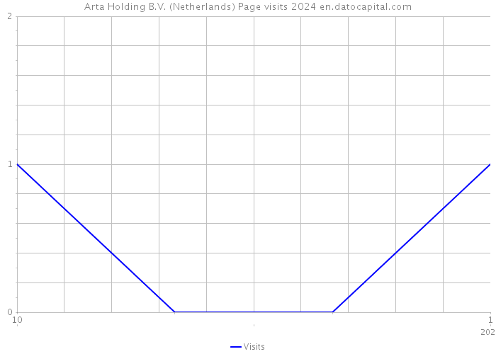 Arta Holding B.V. (Netherlands) Page visits 2024 