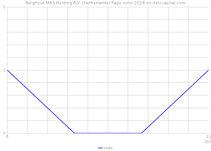 Berghout MAS Holding B.V. (Netherlands) Page visits 2024 