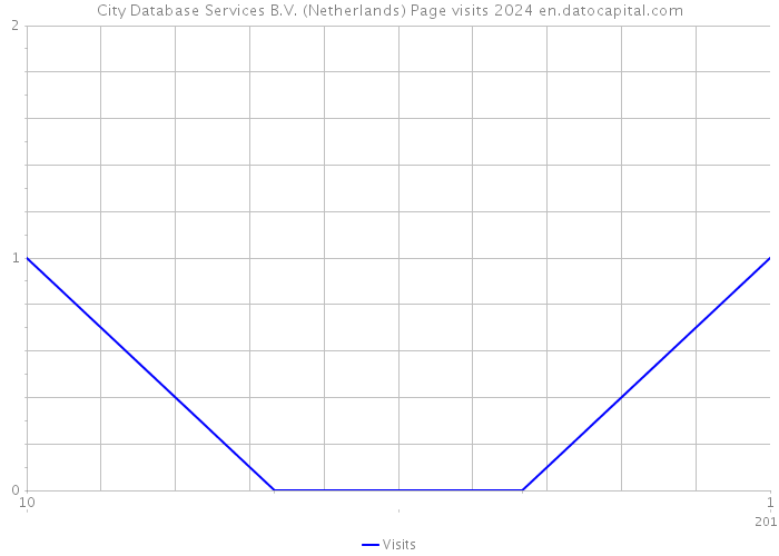 City Database Services B.V. (Netherlands) Page visits 2024 