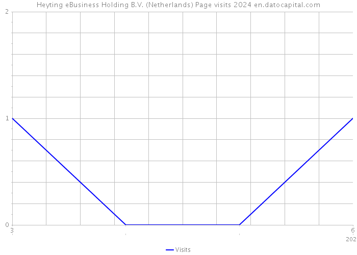 Heyting eBusiness Holding B.V. (Netherlands) Page visits 2024 