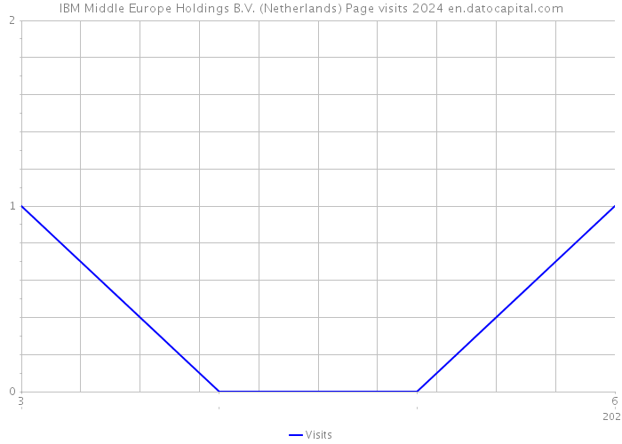 IBM Middle Europe Holdings B.V. (Netherlands) Page visits 2024 