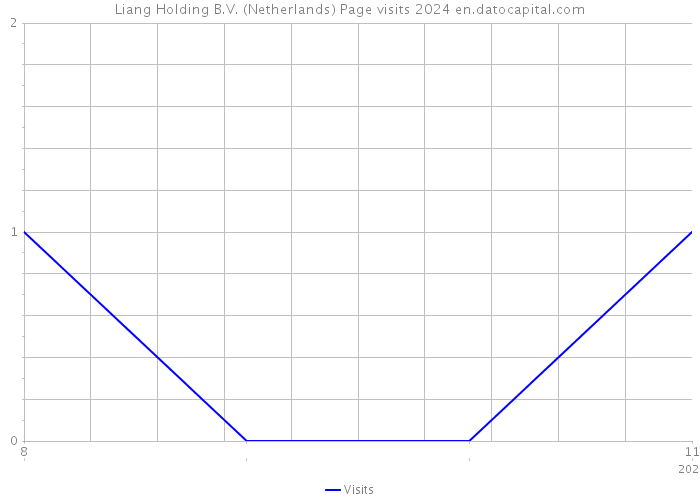Liang Holding B.V. (Netherlands) Page visits 2024 