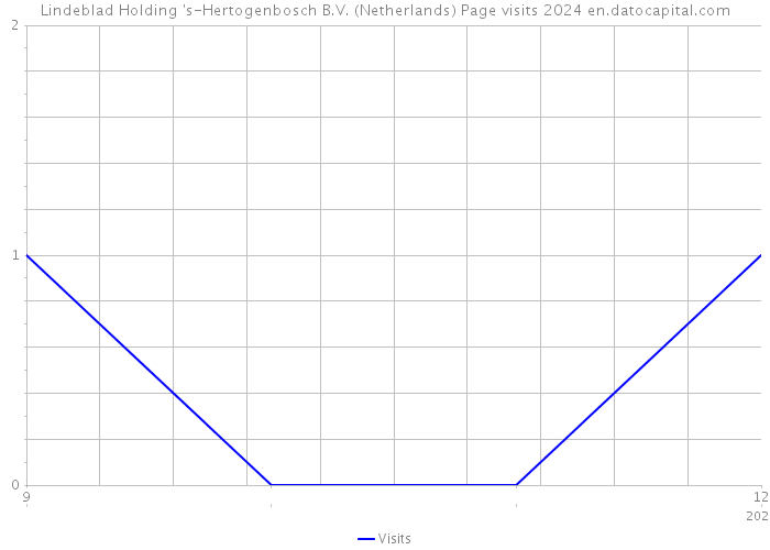 Lindeblad Holding 's-Hertogenbosch B.V. (Netherlands) Page visits 2024 