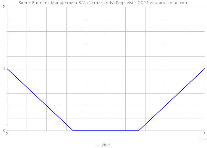 Sanne Buursink Management B.V. (Netherlands) Page visits 2024 