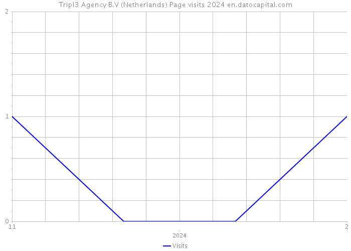Tripl3 Agency B.V (Netherlands) Page visits 2024 