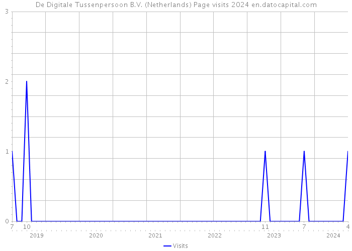 De Digitale Tussenpersoon B.V. (Netherlands) Page visits 2024 