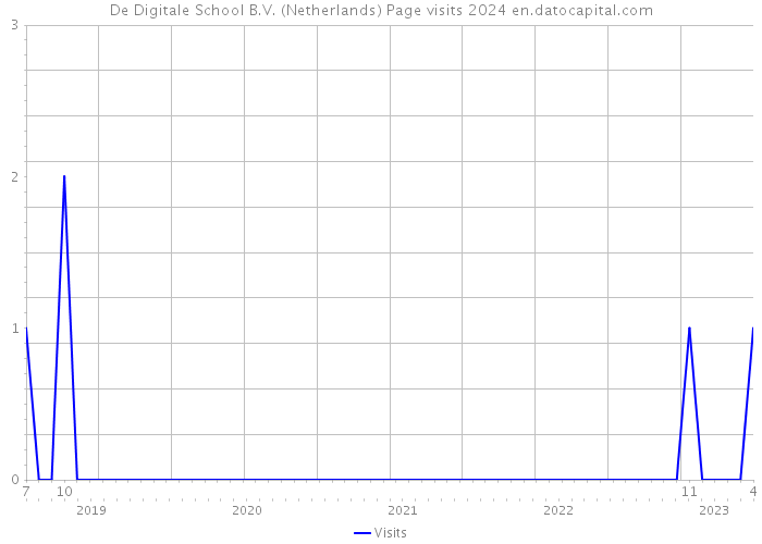 De Digitale School B.V. (Netherlands) Page visits 2024 