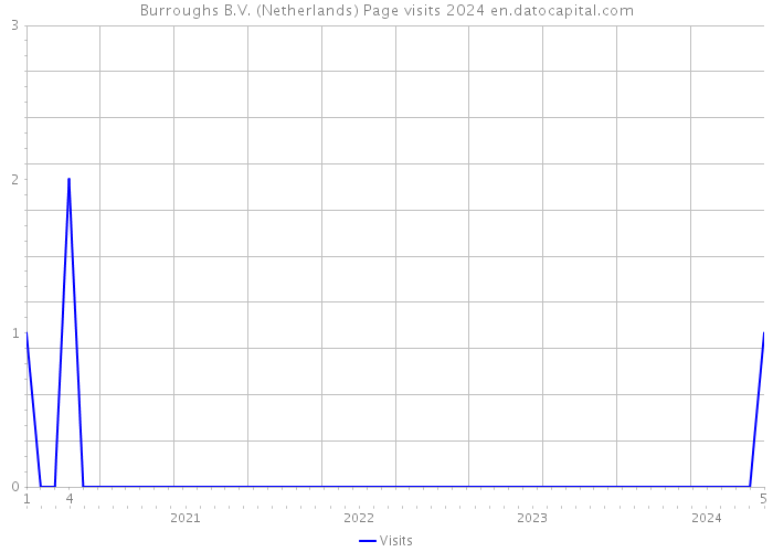 Burroughs B.V. (Netherlands) Page visits 2024 