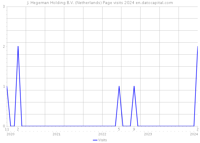 J. Hegeman Holding B.V. (Netherlands) Page visits 2024 