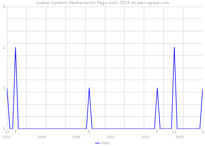 Gudret Gültekin (Netherlands) Page visits 2024 