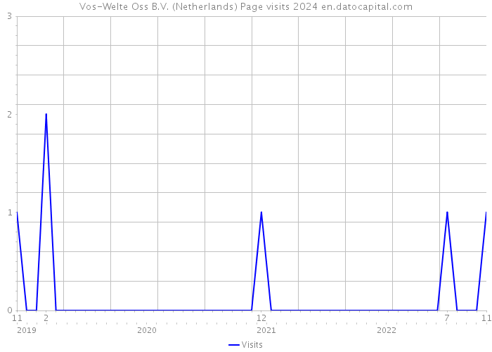 Vos-Welte Oss B.V. (Netherlands) Page visits 2024 
