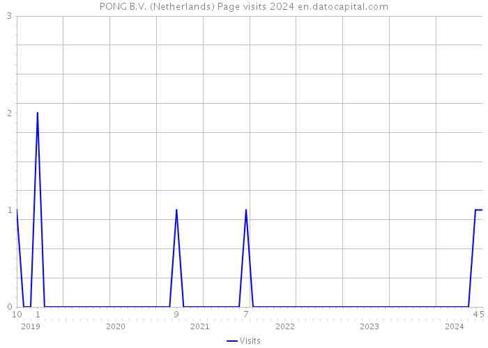 PONG B.V. (Netherlands) Page visits 2024 