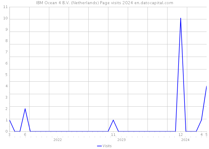 IBM Ocean 4 B.V. (Netherlands) Page visits 2024 