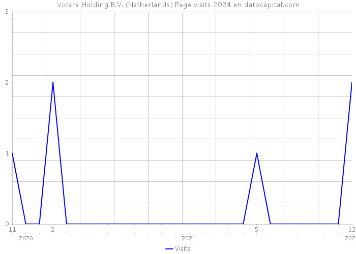 Volare Holding B.V. (Netherlands) Page visits 2024 