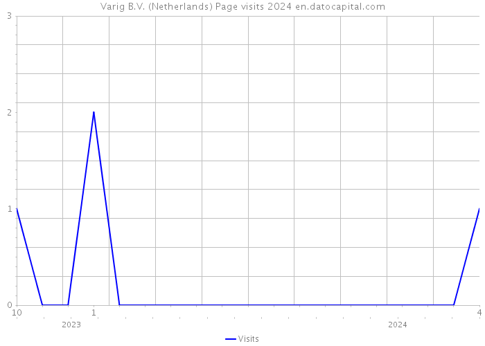 Varig B.V. (Netherlands) Page visits 2024 