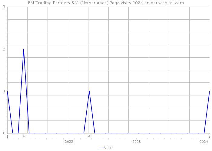 BM Trading Partners B.V. (Netherlands) Page visits 2024 