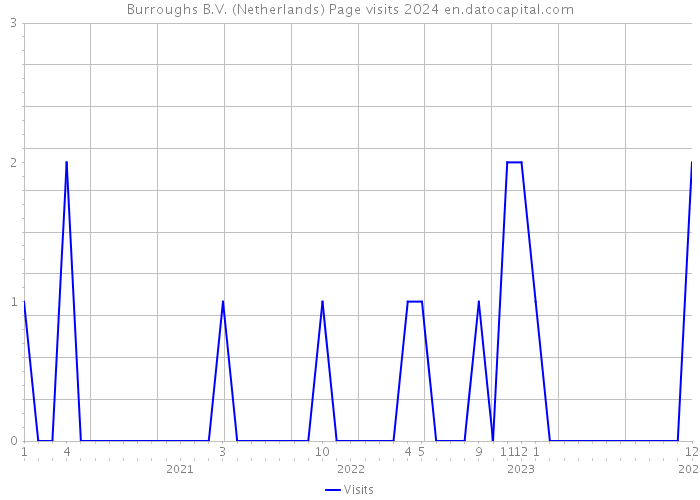 Burroughs B.V. (Netherlands) Page visits 2024 