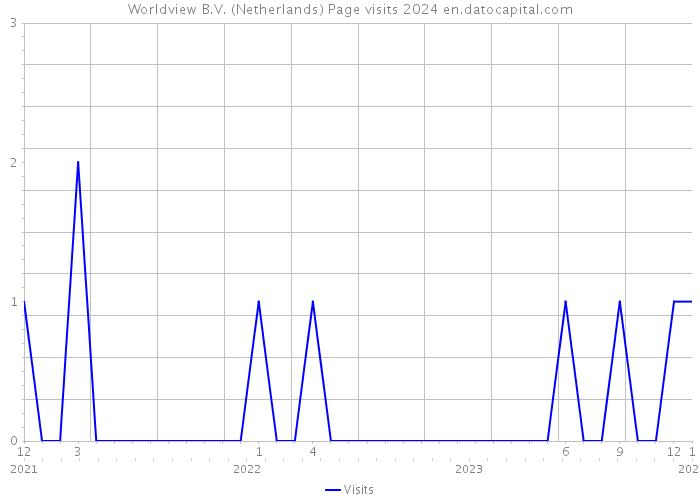 Worldview B.V. (Netherlands) Page visits 2024 