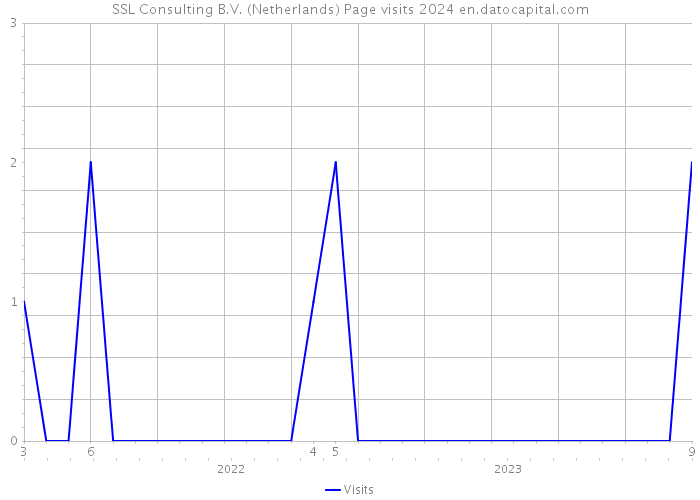 SSL Consulting B.V. (Netherlands) Page visits 2024 