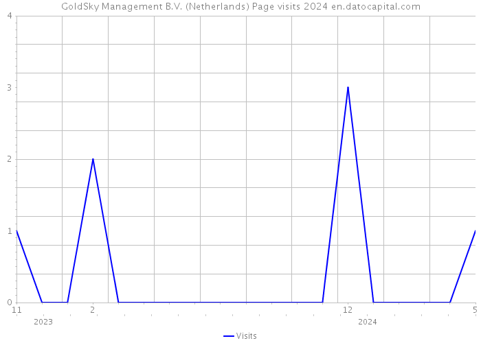 GoldSky Management B.V. (Netherlands) Page visits 2024 