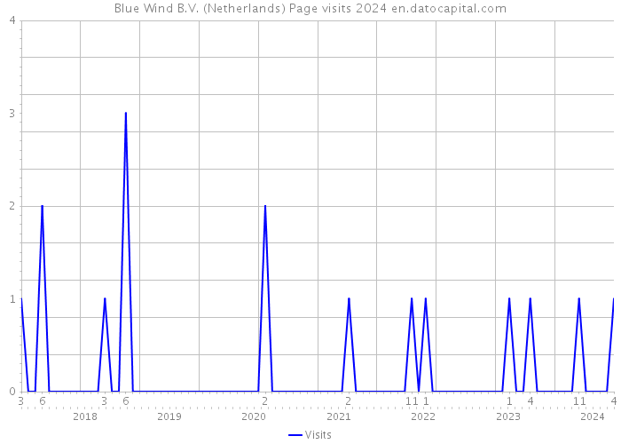 Blue Wind B.V. (Netherlands) Page visits 2024 