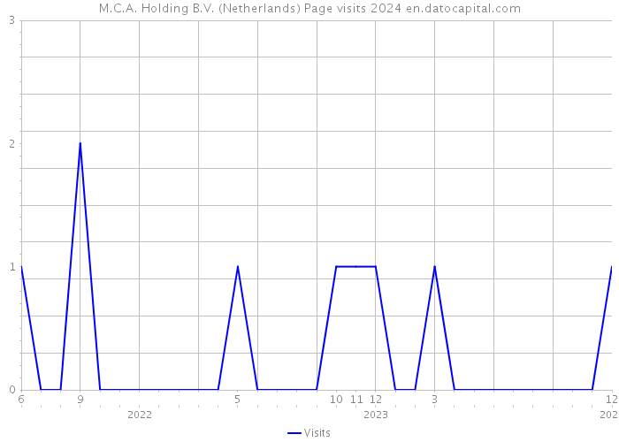 M.C.A. Holding B.V. (Netherlands) Page visits 2024 