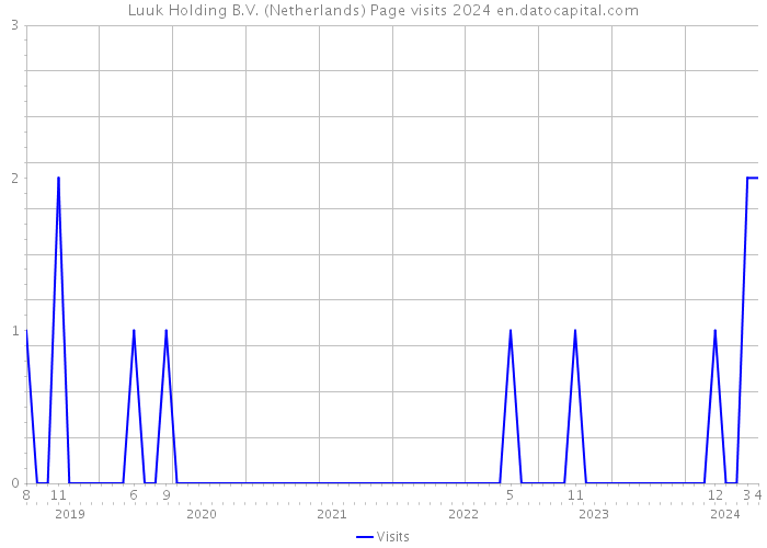 Luuk Holding B.V. (Netherlands) Page visits 2024 