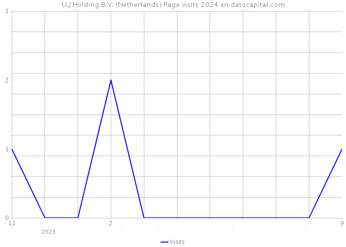U.J Holding B.V. (Netherlands) Page visits 2024 