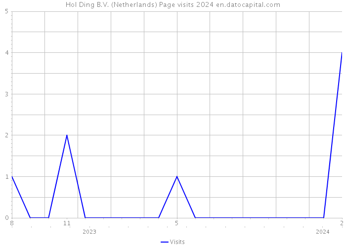 Hol Ding B.V. (Netherlands) Page visits 2024 