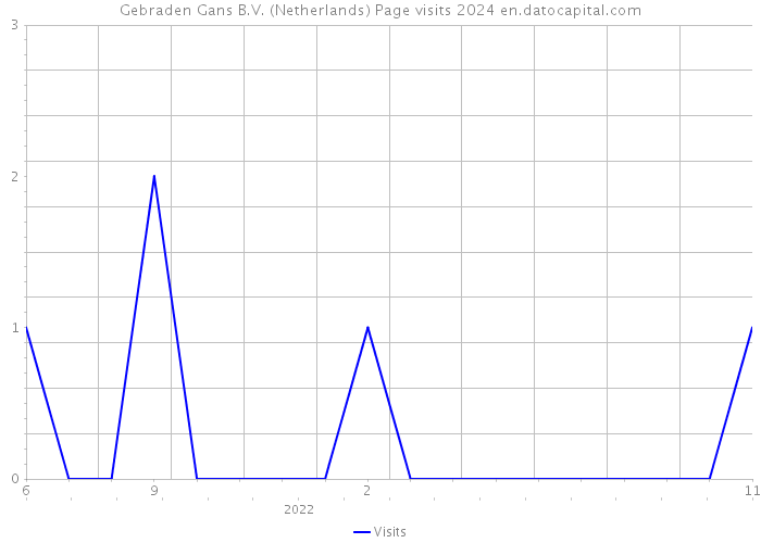 Gebraden Gans B.V. (Netherlands) Page visits 2024 
