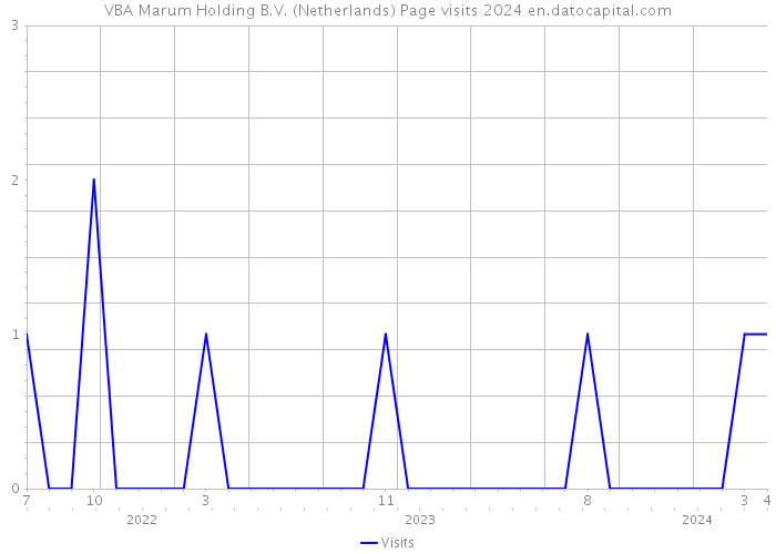 VBA Marum Holding B.V. (Netherlands) Page visits 2024 