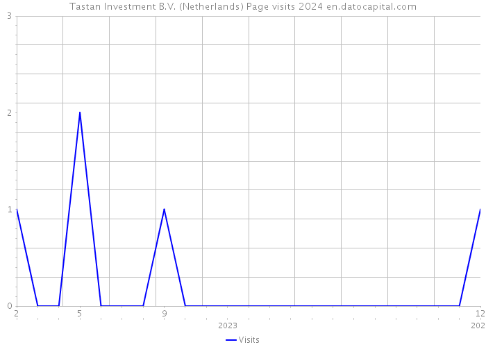 Tastan Investment B.V. (Netherlands) Page visits 2024 