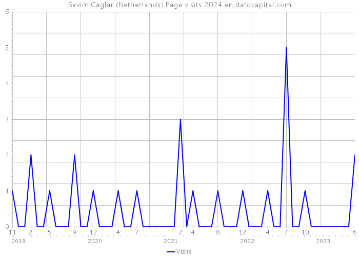 Sevim Caglar (Netherlands) Page visits 2024 